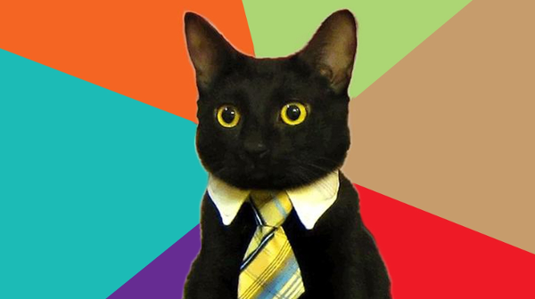 the Business Cat meme image