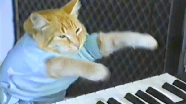 Keyboard Cat