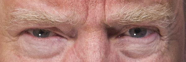 Close-up of Mr. Trump's presidential stare (from his official White House photo)