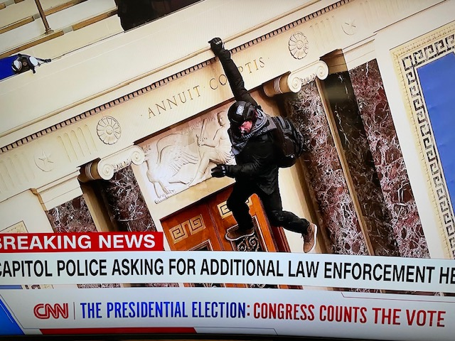 Seditionist hanging from the wall inside of the House of Representatives